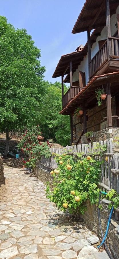 Sintrivanis Mountain Ano Skotina Bagian luar foto